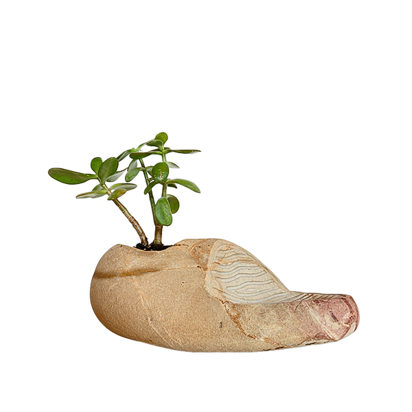 MACETA CON ESCULTURA.